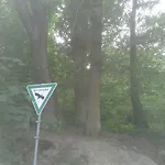 Zeitwohnen Πανσιόν 3*