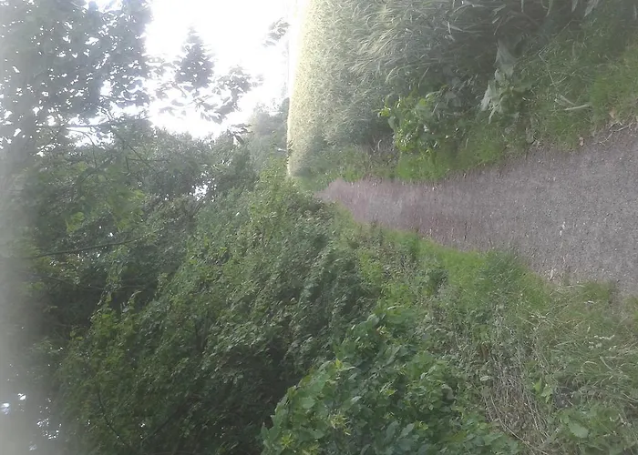 招待所 Zeitwohnen