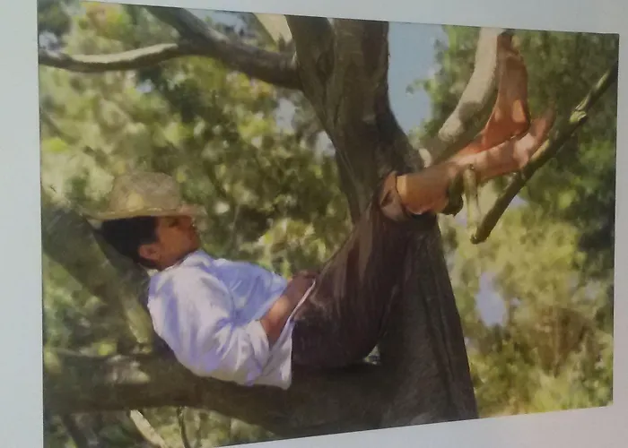 招待所 Zeitwohnen 普尔海姆