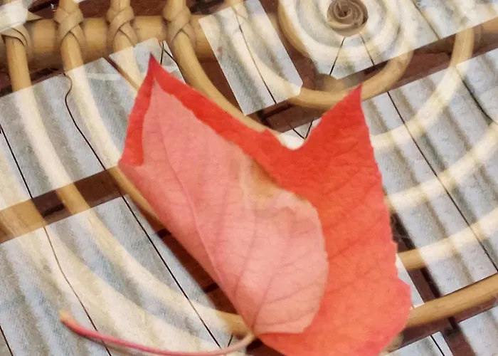 Zeitwohnen 普尔海姆